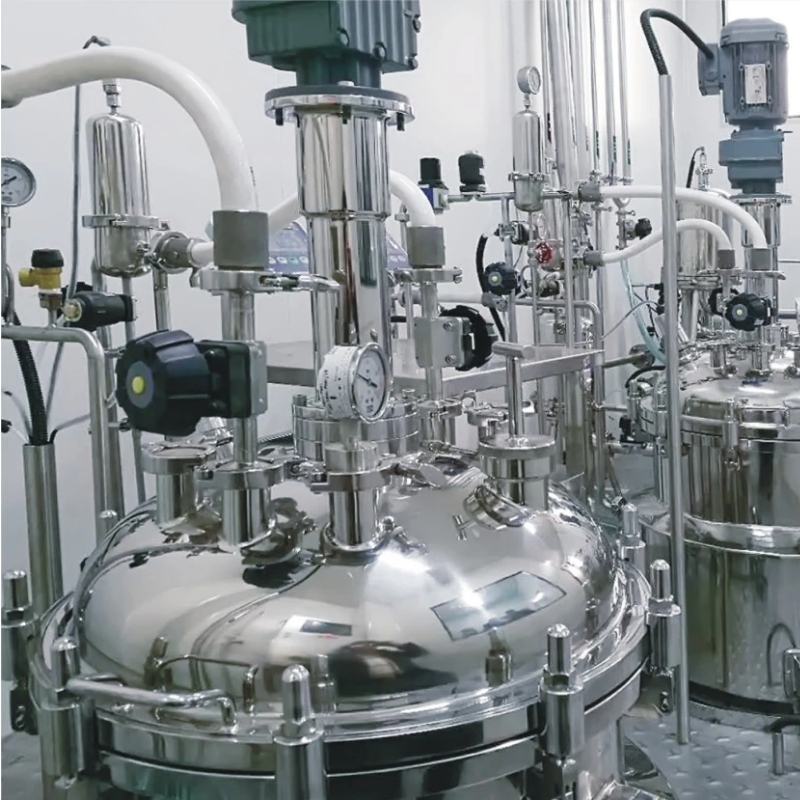 stevia Extraction And Concentrator Processing Production Line Plant Pigment Extracting Complete  