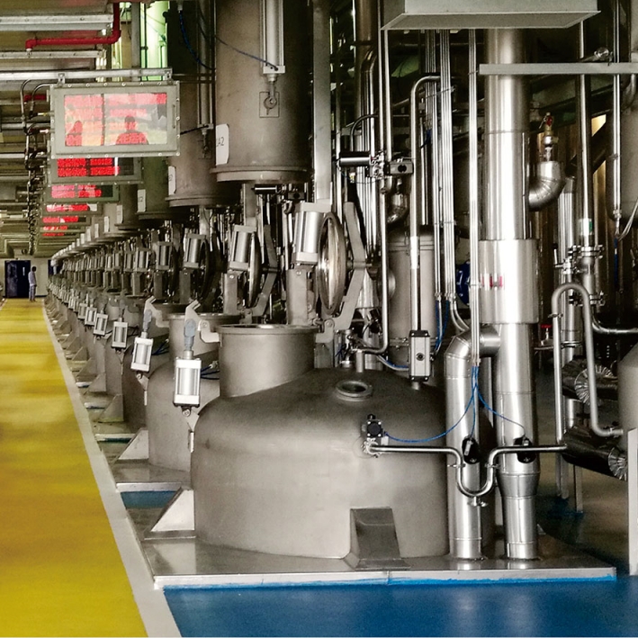 stevia Extraction And Concentrator Processing Production Line Plant Pigment Extracting Complete  