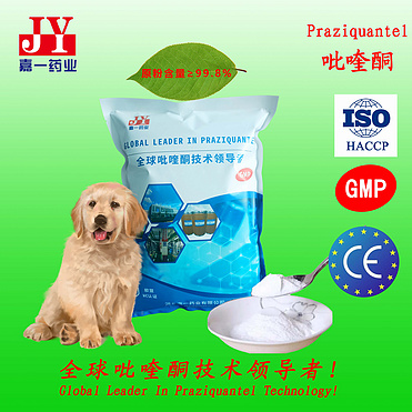 Praziquantel API for dog