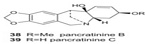 Pancratinine C