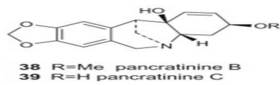 Pancratinine C