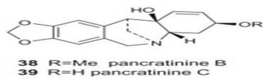 Pancratinine C