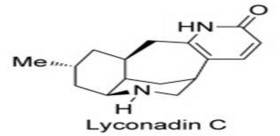 Lyconadin C