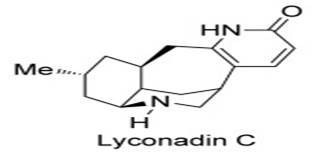 Lyconadin C