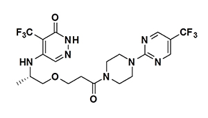 Atamparib, RBN 2397