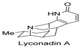 Lyconadin A