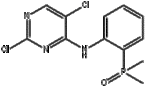 (2-((2,5-Dichloropyrimidin-4-yl)amino)phenyl)dimethylphosphine oxide