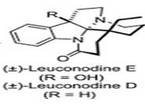 Leuconodine D