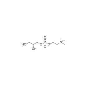 L-α-Glyceryphosphorylcholine (Choline Alfoscerate/ α-GPC)