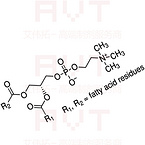 Phosphatidyl Choline (PC)