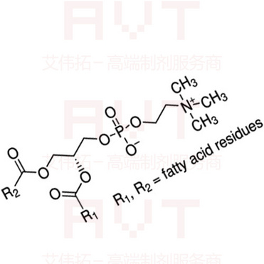 Phosphatidyl Choline (PC)