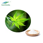 Organic Sweet Blackberry Leaves Extract 70%-98% Rubusosides