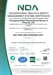 GB/T 45001-2020 idt ISO45001:2018