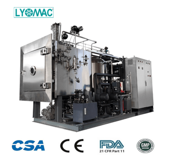 High Quality Pharmaceutical Lyopphilizer Freeze dryer