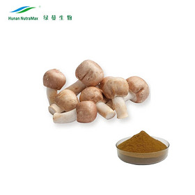 10%~50% Polysacchrides Organic Agaricus Blazei Extract