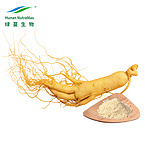 Ginseng Extract 5%-80% Polysaccharides