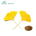 Gingko Biloba Leaf Extract 24% flavonoids & 6% terpenoids