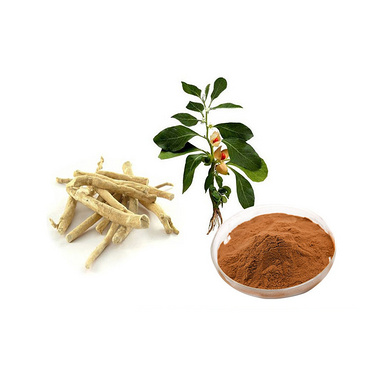 1%-10% Withanolide Ashwagandha Extract for Healthcare Products