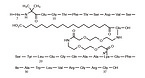 Semaglutide