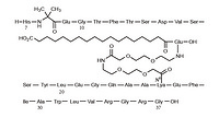 Semaglutide