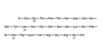 Peptide sequence (9-37)