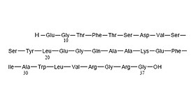 Peptide sequence (9-37)