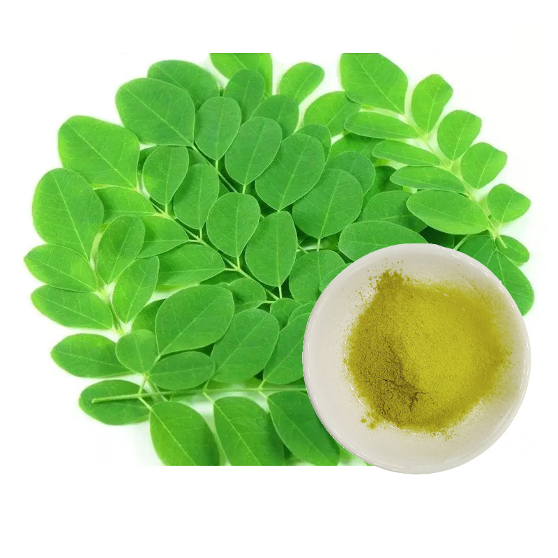 Pure Natural Moringa Powder for Supplements  