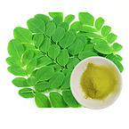 Pure Natural Moringa Powder for Supplements