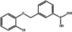 3-(2-ChlorophenoxyMethyl)phenylboronic acid