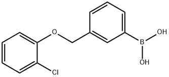 3-(2-ChlorophenoxyMethyl)phenylboronic acid
