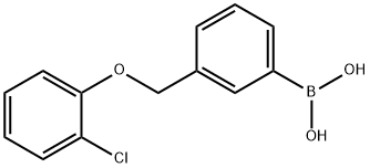 3-(2-ChlorophenoxyMethyl)phenylboronic acid