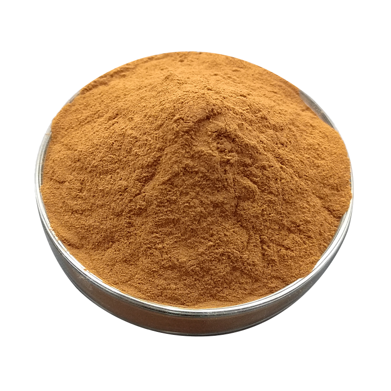 1% Ligustilide Dong Kuai Extract Powder Angelica Extract  