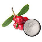 Raw Material 98% Alpha Arbutin Bearberry Extract Powder for Cosmetics