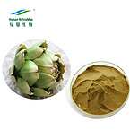 Cynarin 5% Artichoke Extract Powder