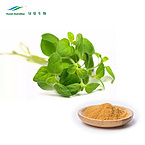 4:1 5:1 10:1 20:1 Oregano Extract Powder