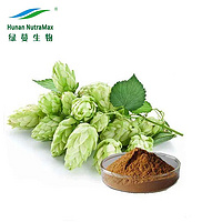 5%-10% Flavones Hops Flower Extract Humulus lupulus Plant Extract