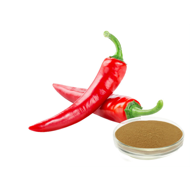 Chili Pepper Extract Powder 1%-98% Capsaicin Capsicum Extract  