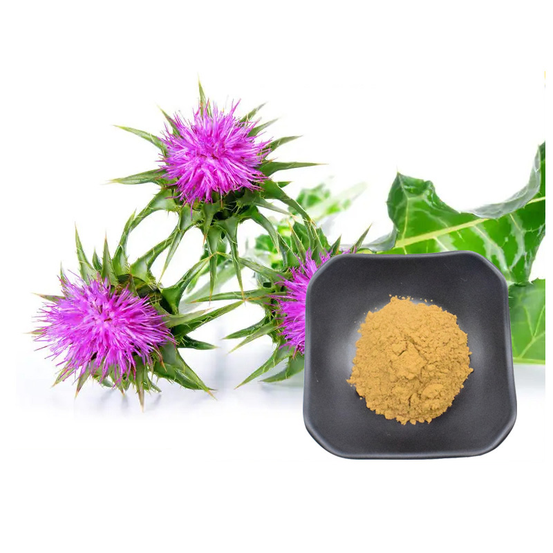 Milk Thistle Extract Powder Silymarin 40%~80%  