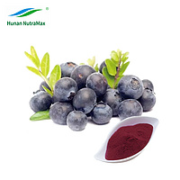 Blueberry Powder,Blueberry Juice Powder,Blueberry Extract 25% 36% Athocyanidins