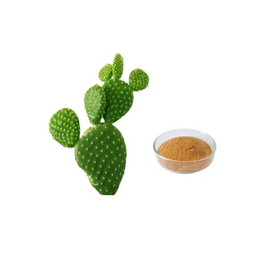 4:1-20:1 Cactus Extract Powder