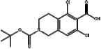 2-(tert-butoxycarbonyl)-5,7-dichloro-1,2,3,4-tetrahydroisoquinoline-6-carboxylic acid