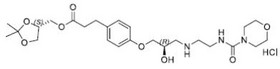 Landiolol Impurity 7