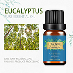 Wholesale 100% Pure Natural Eucalyptus Essential Oil For Skin Care Organic Eucalyptus Oil