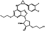 TICAGRELOR