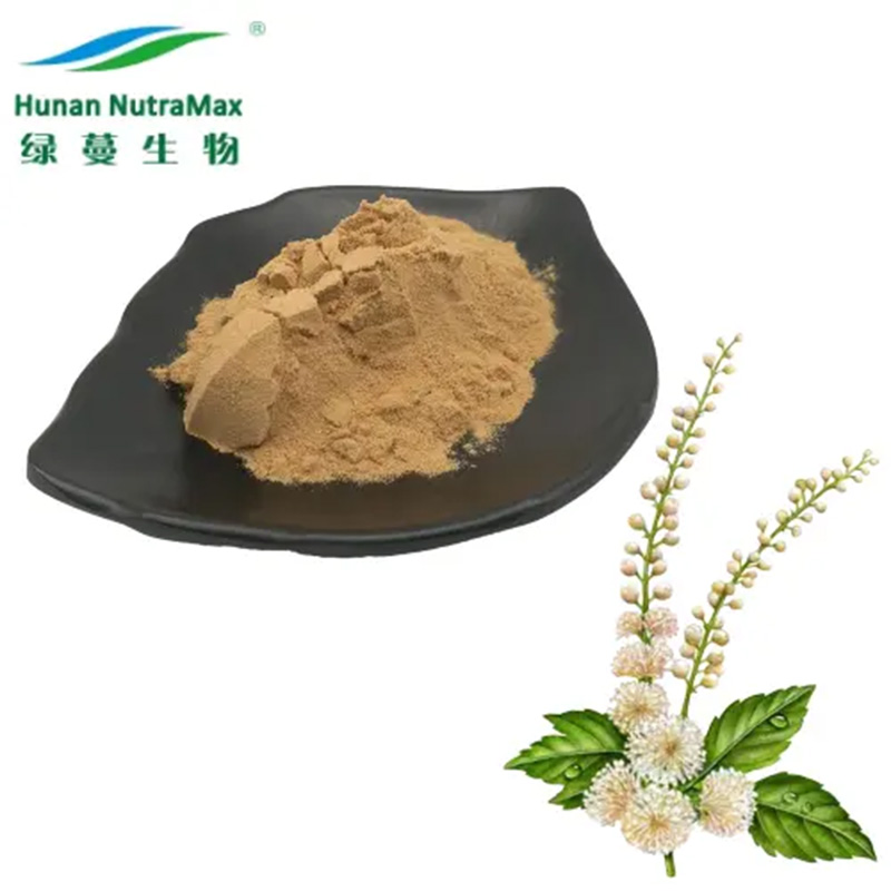 Black Cohosh Extract 1.5%~8% Triterpenes Glycosides  