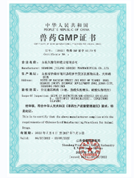 GMP