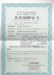 GMP