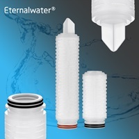 Pes (Polyethersulfone)Pleated Filter Cartridge