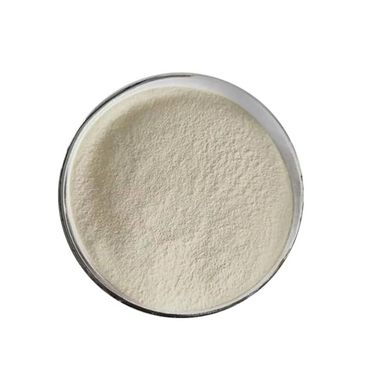 Raw Material Powder White Kidney Bean Extract 2% Phaseolin