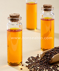 Sea buckthorn seed oil